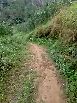 Cloud-wh online show from March 2026 12:39:02 AM