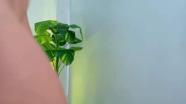 Anastasia gb online show from March 2026 02:13:01 PM