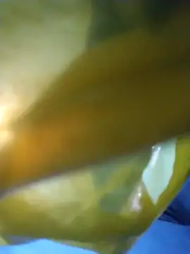 chim-yen online show from November 2025 03:50:02 AM