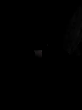 arcacsel online show from November 2025 09:26:02 PM