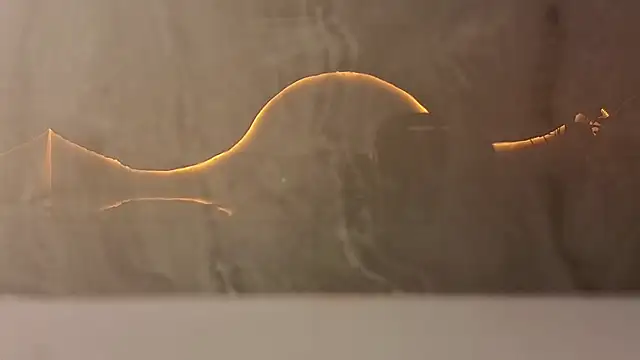 samy tp online show from December 2025 07:21:02 PM