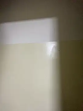 pitty mymi online show from March 2026 11:48:01 PM