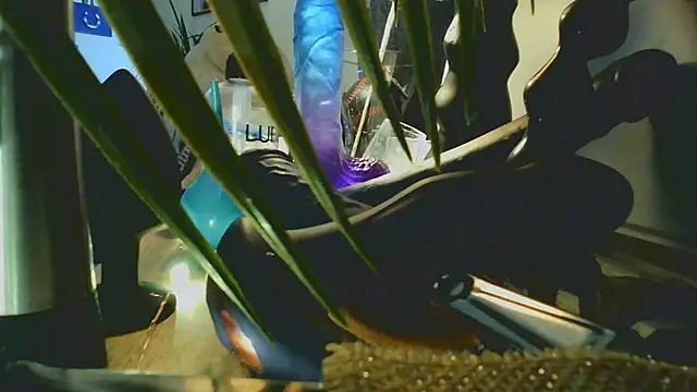 jibe13xh online show from July 2026 09:32:01 PM