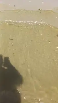 Lukemo online show from April 2026 09:48:02 AM