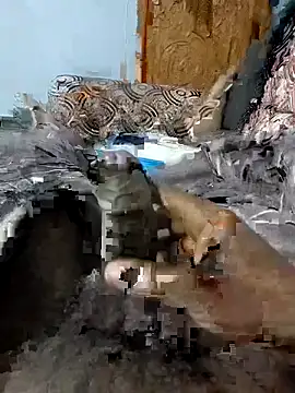 spermc online show from February 2026 04:10:02 PM