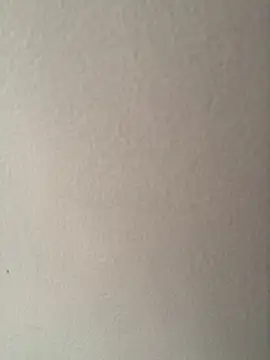 CandyCol online show from November 2025 12:16:02 PM