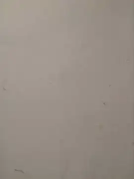 CandyCol online show from December 2025 10:04:02 PM