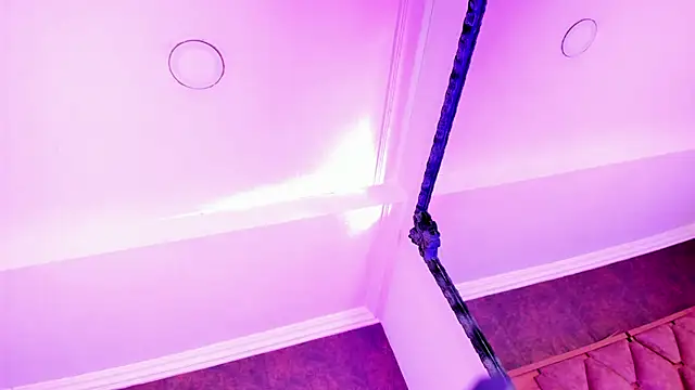 VictoriaSaenz1  online show from November 2025 05:40:01 AM