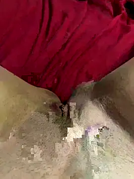 Snapshot of fernandesisa chatting on November 2025 02:00:02 AM fernandesisa online show from November 2025 02:00:02 AM