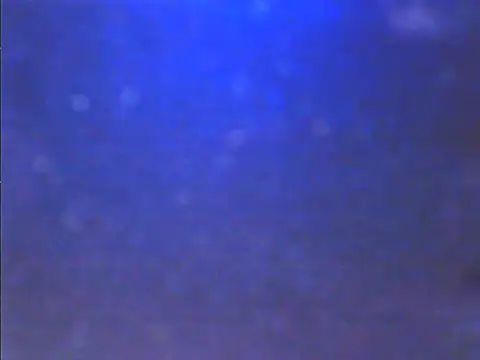 Sweet dove05 online show from November 2025 04:46:02 AM