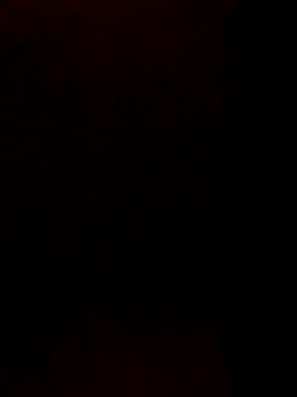 starnighcouple online show from December 2025 05:43:02 PM