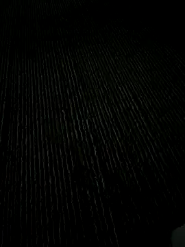 Playboy pune  online show from November 2025 05:46:02 PM