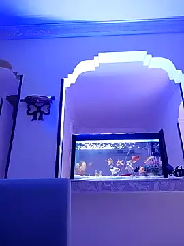 karlatasty online show from November 2025 04:11:02 PM