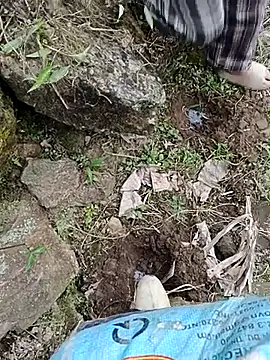 Pampirara online show from March 2026 03:11:01 AM