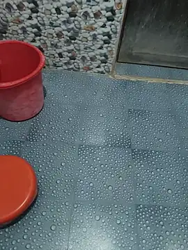 Sainicpl online show from December 2025 12:07:01 AM