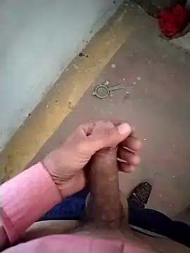 GDwrzsc2bfc online show from November 2025 09:01:02 AM