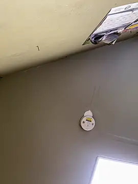 24denio online show from March 2026 01:52:01 PM