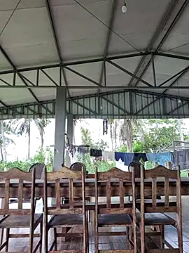 nori dunda online show from April 2026 06:11:02 PM