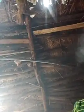 Xxx suhana online show from February 2026 03:49:02 AM