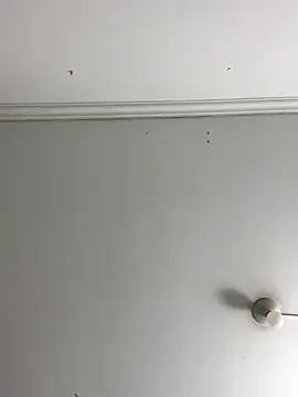 Snapshot of Rosa_Vidal_ chatting on November 2025 06:55:02 PM Rosa Vidal online show from November 2025 06:55:02 PM