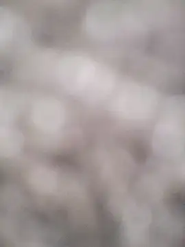 Snapshot of hamstiboy55 chatting on August 2026 07:24:02 AM hamstiboy55 online show from August 2026 07:24:02 AM