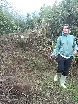 nangmo online show from March 2026 12:06:01 AM