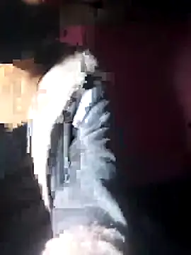 beba1100 online show from November 2025 04:11:02 PM