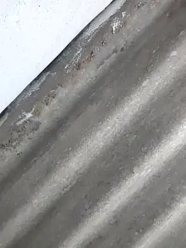 Babita Gori online show from April 2026 02:28:01 PM