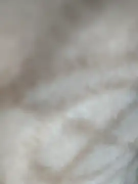 jiniya6789 online show from January 2026 02:00:02 PM