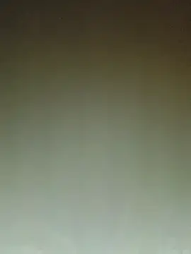 ArgentinaShani online show from February 2026 03:00:02 AM