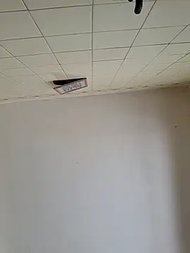 wakahoe online show from March 2026 04:54:02 PM