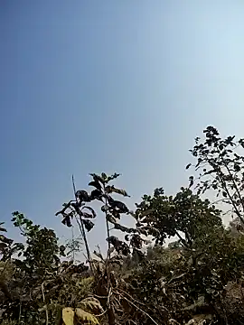 88zaifkhan88 online show from January 2026 05:13:02 AM