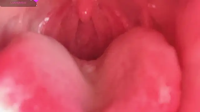 LT-333 online show from February 2026 04:33:01 PM