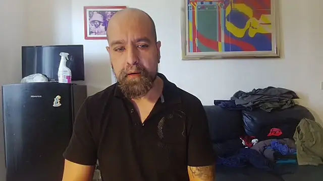 AMIRDIB2025 online show from May 2026 10:53:01 AM