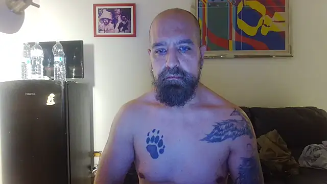 AMIRDIB2025 online show from July 2026 01:34:01 AM