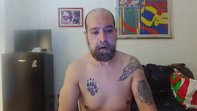AMIRDIB2025 online show from July 2026 04:23:02 PM