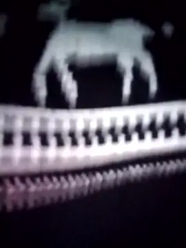 iam-eli online show from January 2026 12:14:02 AM