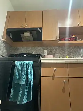 Snapshot of Samcan3 chatting on February 2026 11:02:01 AM Samcan3 online show from February 2026 11:02:01 AM