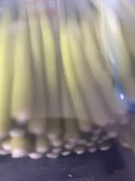 Ghost-Zero online show from March 2026 11:59:02 AM