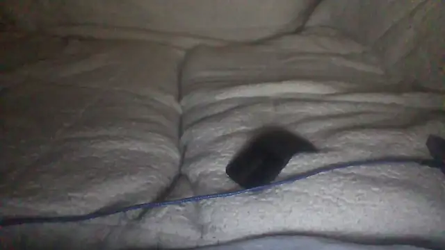 Snapshot of moneymaker50 chatting on December 2025 04:51:01 AM moneymaker50 online show from December 2025 04:51:01 AM