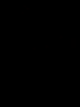 Piazza21 online show from March 2026 08:07:01 AM