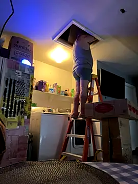  online show from December 2025 04:38:01 PM