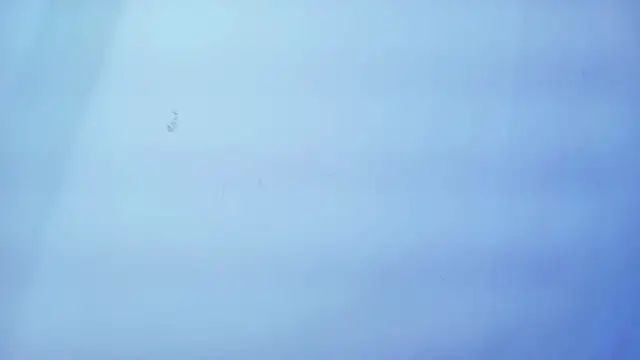 Nicole sounders online show from January 2026 11:25:01 AM