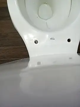 Snapshot of NegoPromisor chatting on December 2025 01:13:01 AM NegoPromisor online show from December 2025 01:13:01 AM