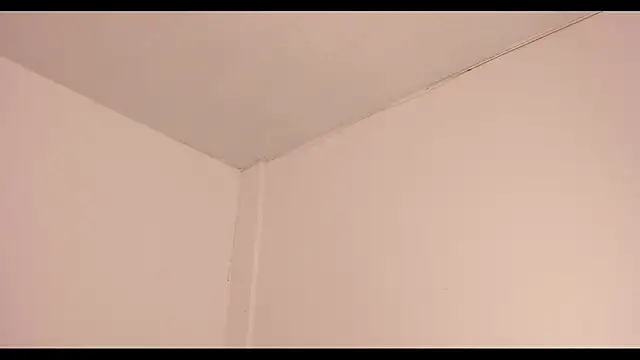 annelis x online show from April 2026 02:53:01 PM