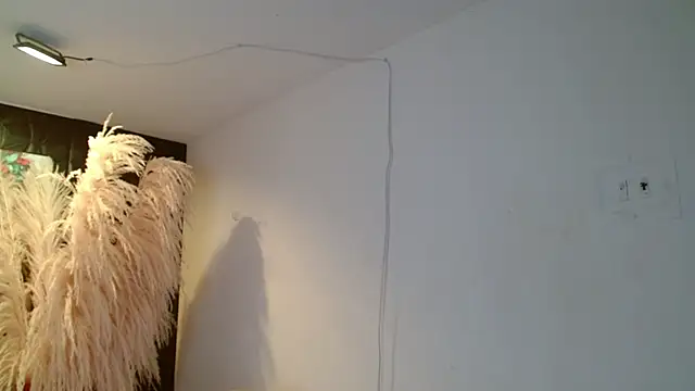 paisita1609 online show from March 2026 08:38:02 PM