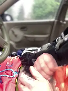 Ldnick69 online show from March 2026 05:40:01 PM