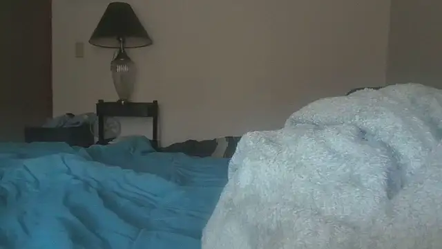 dixielover1229 online show from January 2026 05:04:01 PM