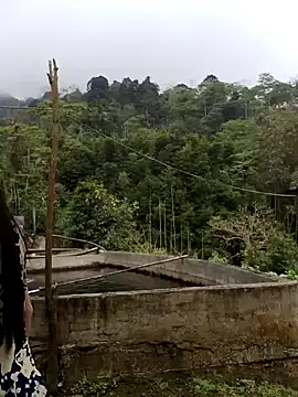  CTMay 77 online show from April 2026 04:02:02 AM