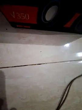 Cicie88 online show from April 2026 09:26:02 AM